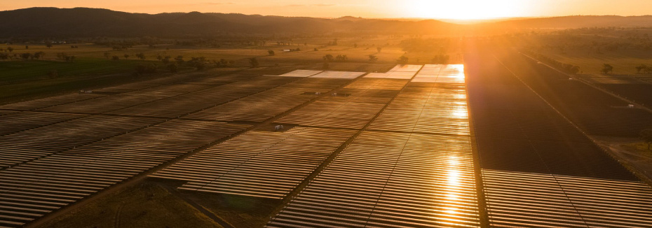 Solar farm (cr: Lightsource BP)