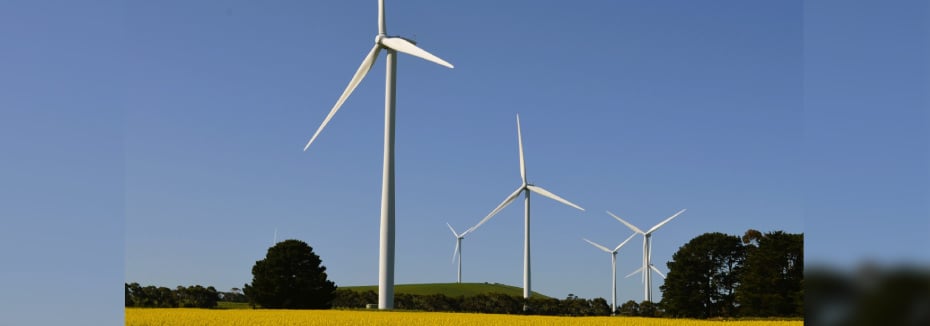 Wind turbines (cr: WestWind Energy)